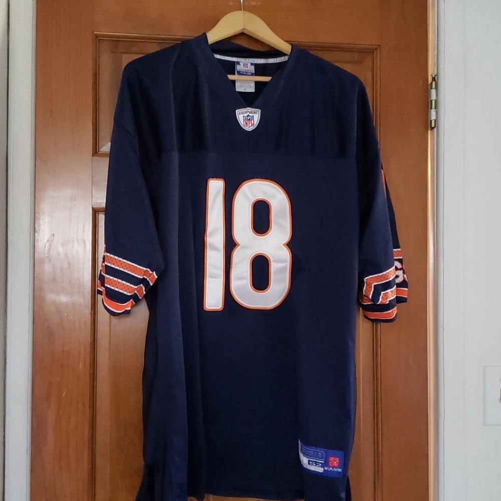 NFL #18 ORTON JERSEY